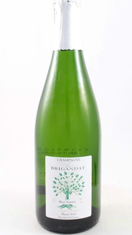 Champagne Pinot Noir de Channes Nature – Pierre Brigandat