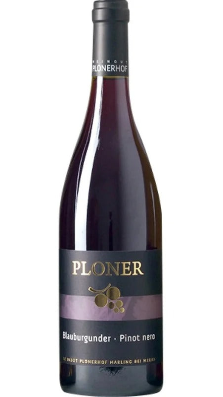 Pinot Nero – MAGNUM – Ploner