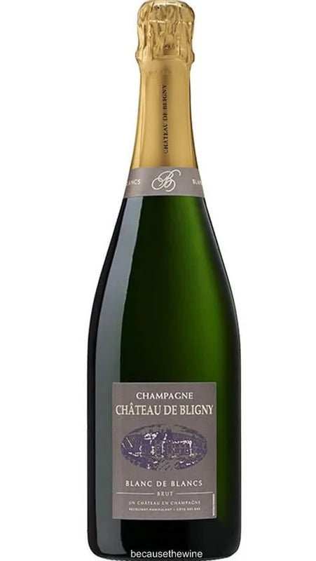 Champagne Blanc De Blancs Brut – Magnum – Chateau De Bligny