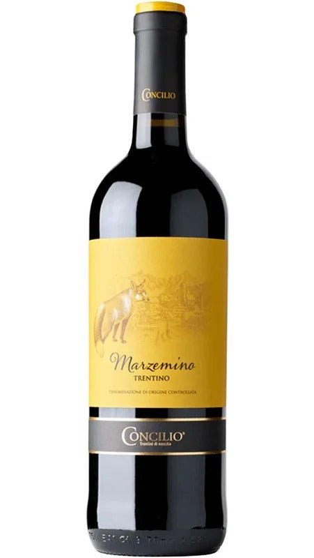 Trentino DOC Marzemino – Concilio Linea Nativi – Cantina di Trento