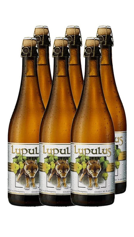 Strong Belgian Ale – Lupulus 75cl – Cassa da 6 Bott.