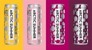 Artic Summer Seltzer Weekender Variety 12pk